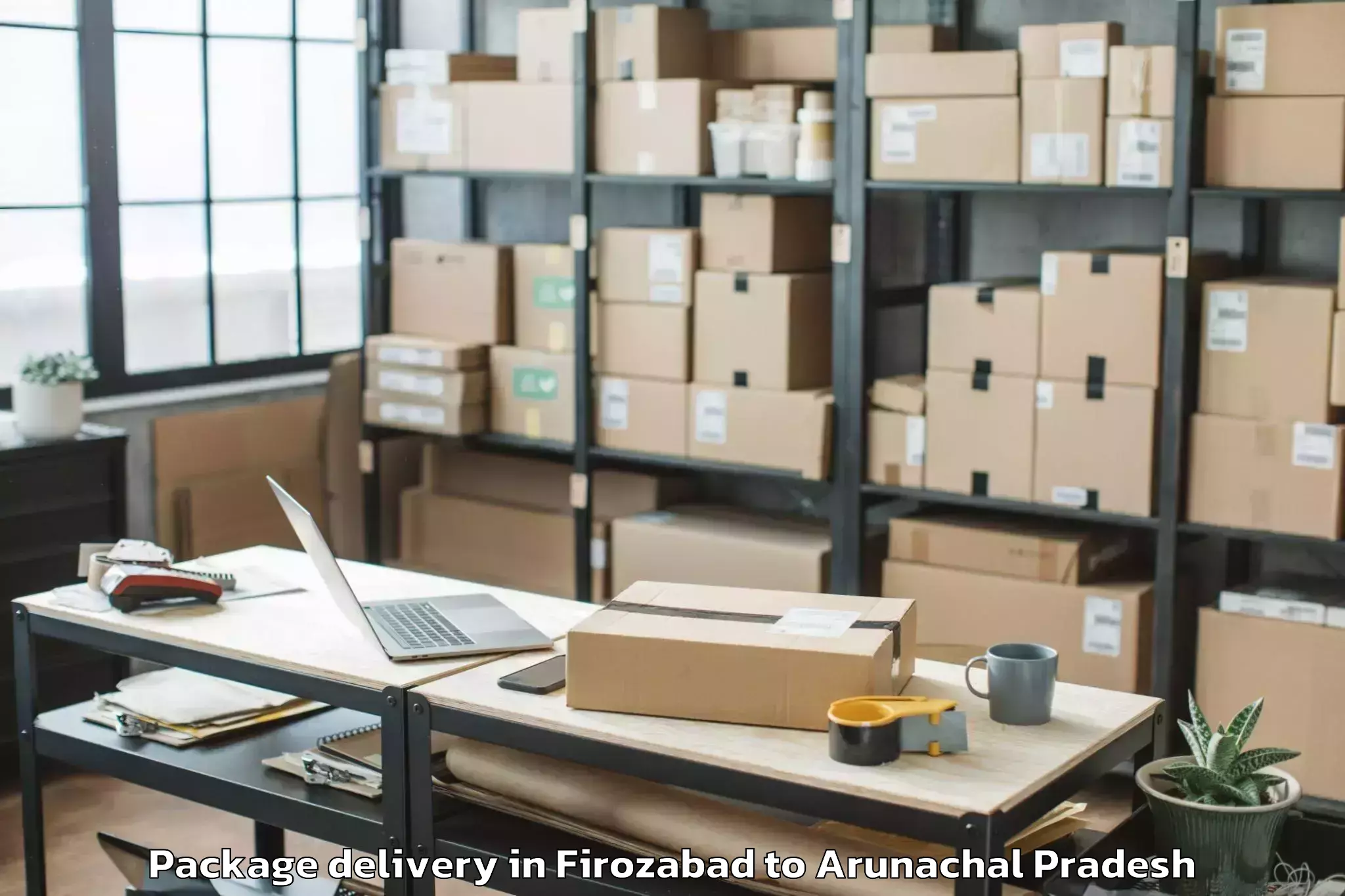 Professional Firozabad to Roing Package Delivery